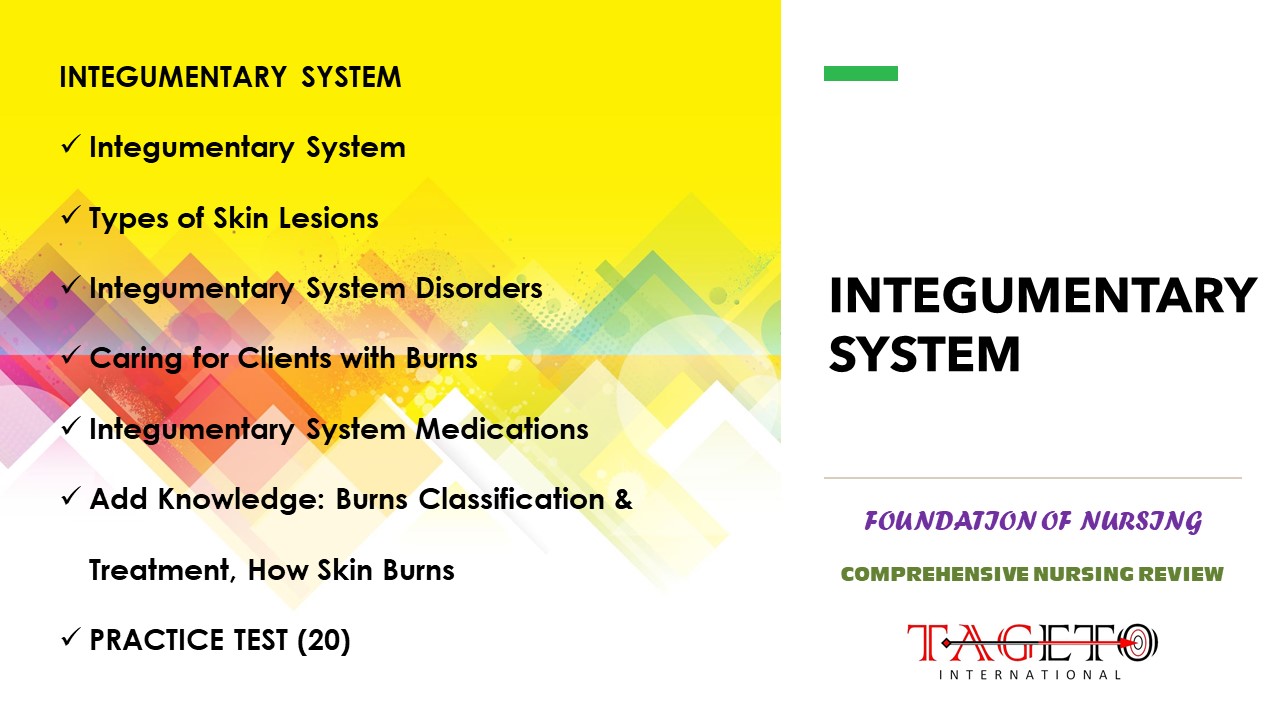 INTEGUMENTARY SYSTEM